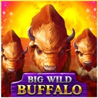 game logo by Belatra Games on jellonacasinos-fi.com